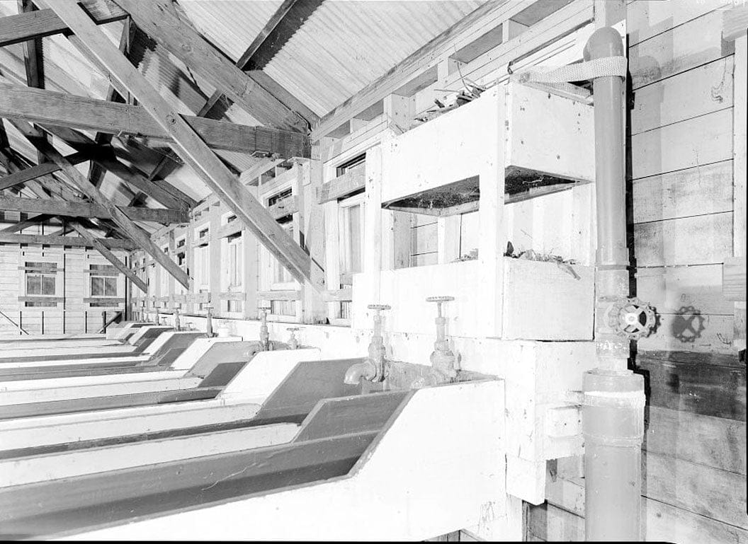 Historic Photo : Prairie Creek Fish Hatchery, Hwy. 101, Orick, Humboldt County, CA 8 Photograph