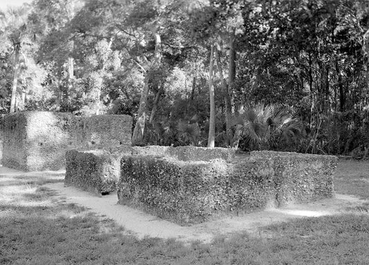 Historic Photo : Kingsley Plantation, 11676 Palmetto Avenue, Jacksonville, Duval County, FL 12 Photograph