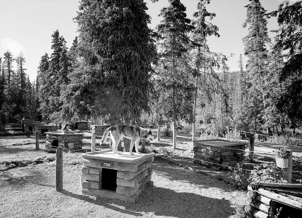 Historic Photo : Mount McKinley Headquarters, Dog Feed Cache & Sled Storage, Cantwell, Denali Borough, AK 1 Photograph