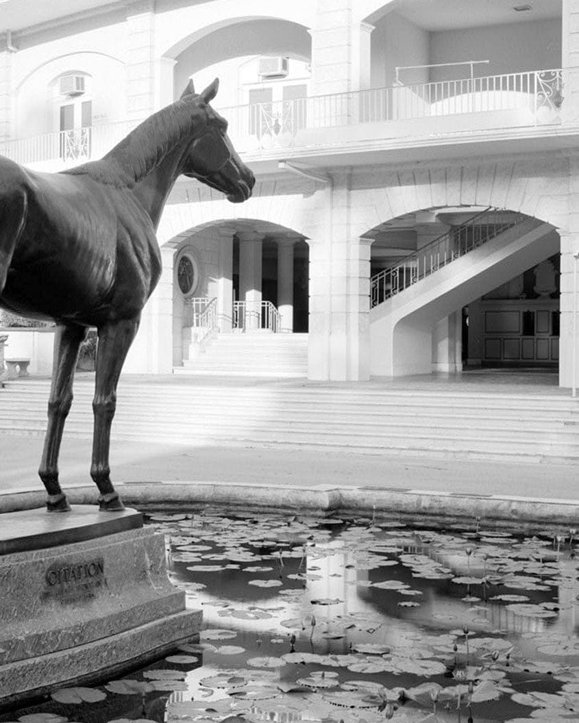 Historic Photo : Hialeah Park Race Track, East Fourth Avenue, Hialeah, Miami-Dade County, FL 30 Photograph