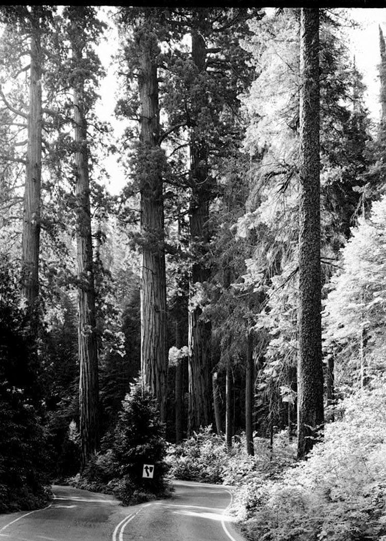 Historic Photo : Generals Highway, Three Rivers, Tulare County, CA 27 Photograph
