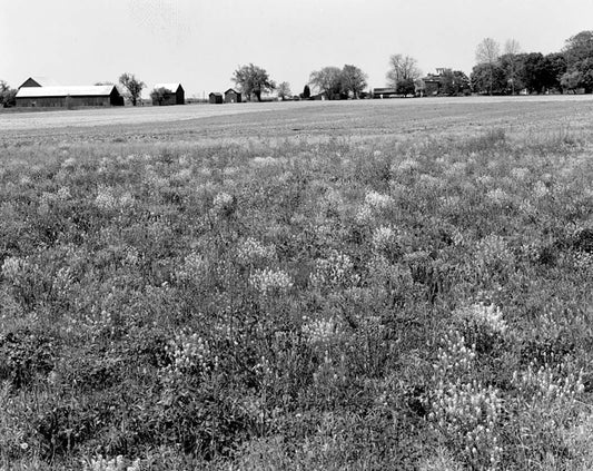 Historic Photo : Cochran Grange, U.S. Route 301, West of Route 71, Middletown, New Castle County, DE 1 Photograph