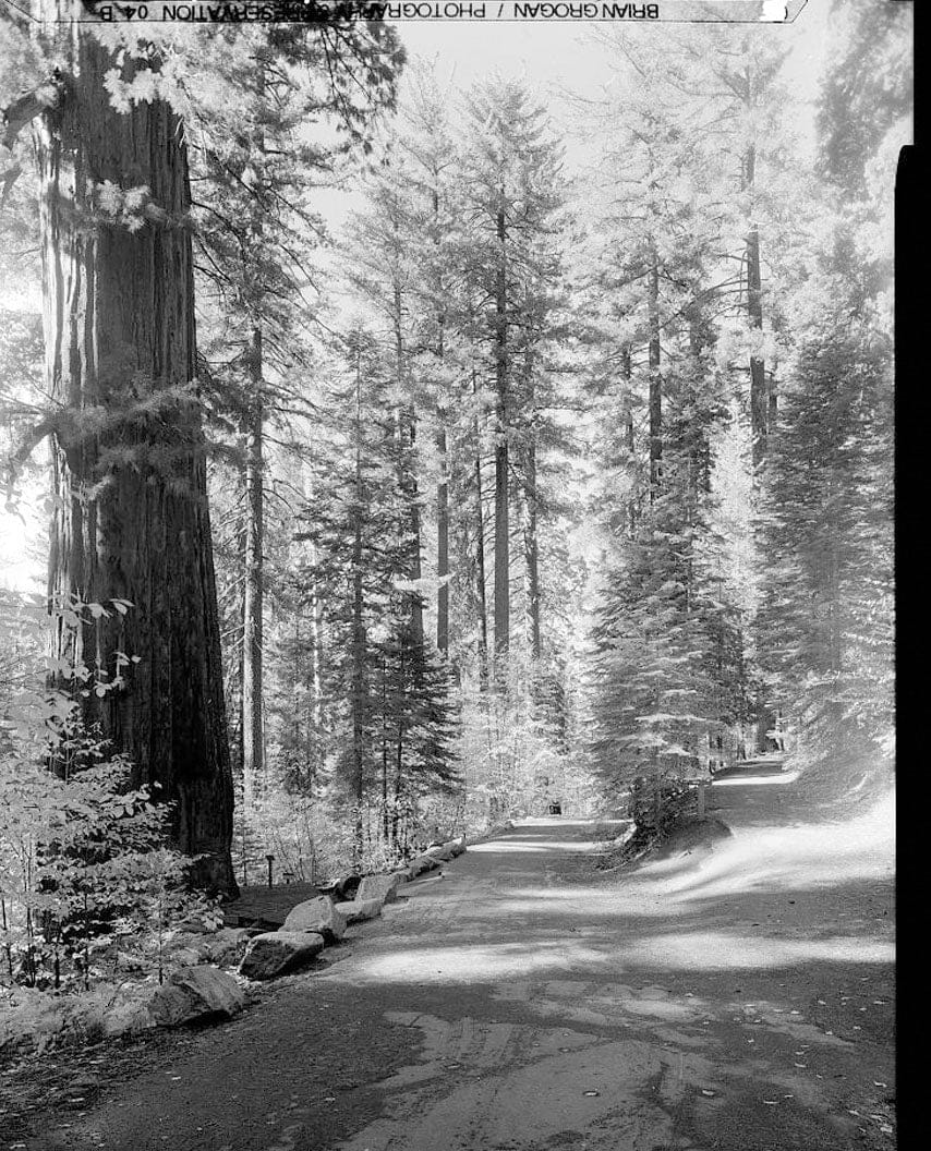Historic Photo : Big Oak Flat Road, Between Big Oak Flat Entrance & Merced River, Yosemite Village, Mariposa County, CA 7 Photograph
