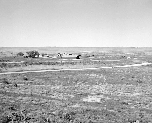Historic Photo : Samuel T. Brown's Sheep Ranch, 6 miles east of U.S. Highway 350, Model, Las Animas County, CO 1 Photograph