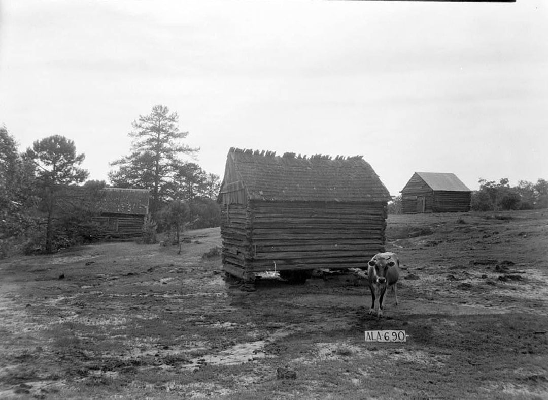 Historic Photo : Will Crenshaw Plantation (House), County Road 54, Greenville, Butler County, AL 2 Photograph