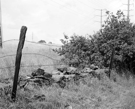 Historic Photo : Placerville Road, White Rock Road between Clarksville & White Rock, El Dorado Hills, El Dorado County, CA 3 Photograph