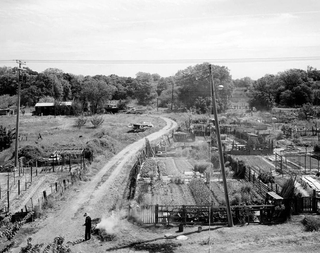 Historic Photo : Town of Locke, Locke, Sacramento County, CA 1 Photograph