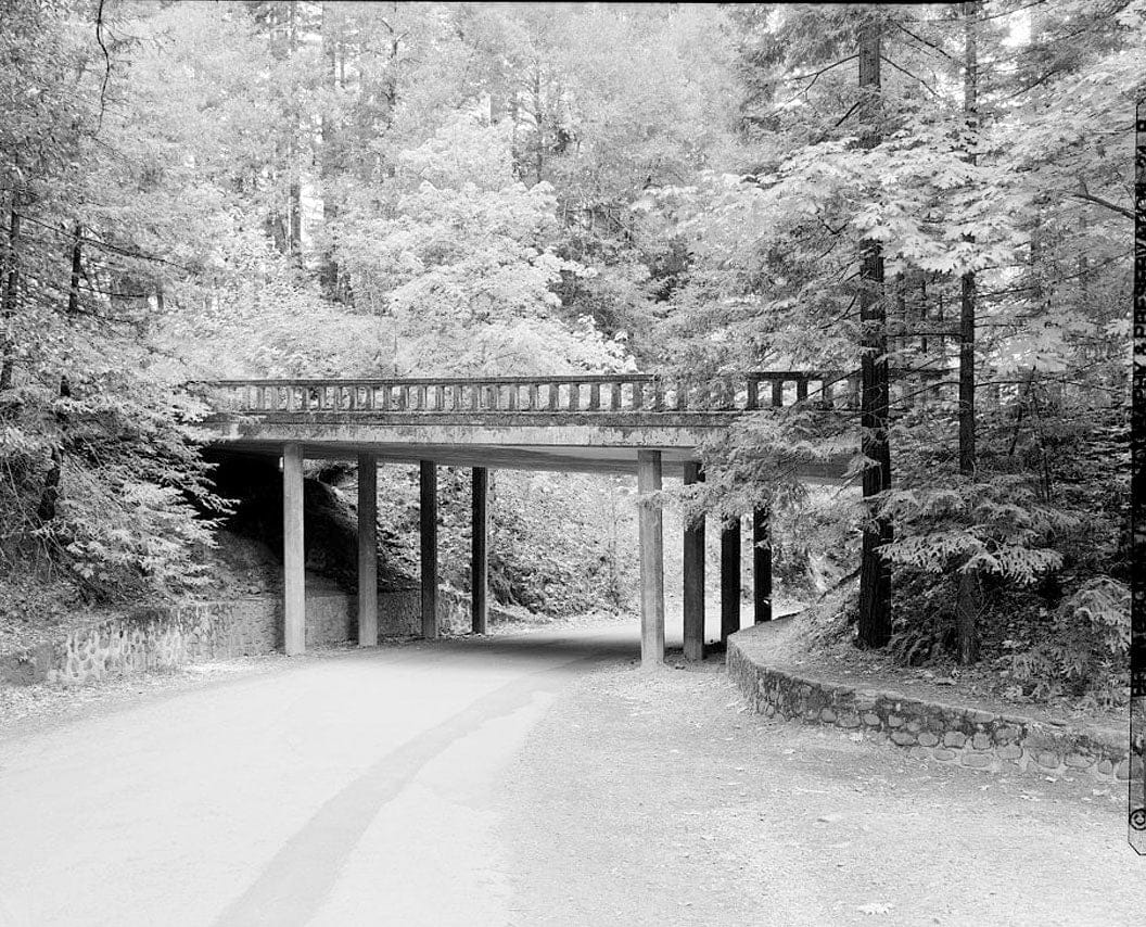Historic Photo : Redwood National & State Parks Roads, California coast from Crescent City to Trinidad, Crescent City, Del Norte County, CA 9 Photograph