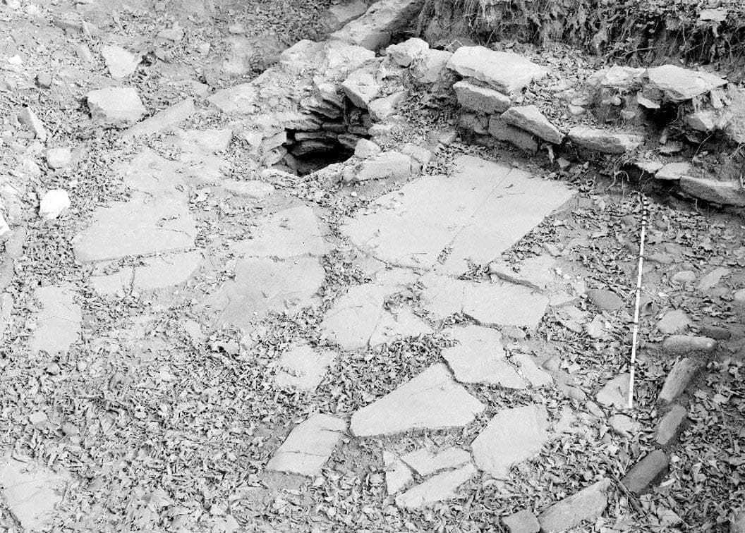 Historic Photo : General John Mason House, Analostan Island or Theodore Roosevelt Island, Washington, District of Columbia, DC 5 Photograph