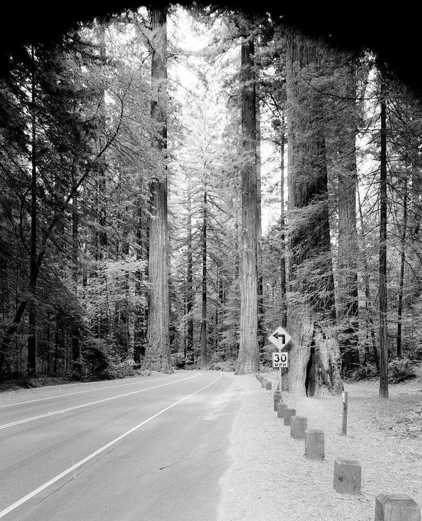 Historic Photo : Redwood National & State Parks Roads, California coast from Crescent City to Trinidad, Crescent City, Del Norte County, CA 20 Photograph