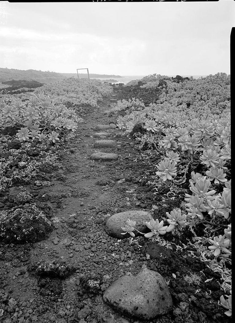 Historic Photo : Hana Belt Road, Between Haiku and Kaipahulu, Hana, Maui County, HI 59 Photograph