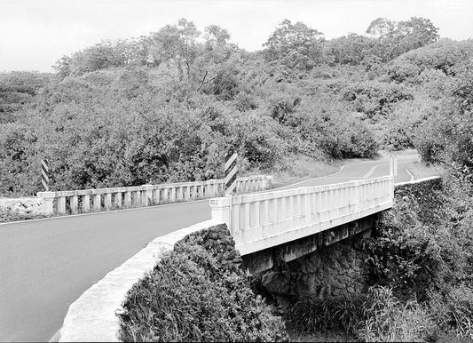 Historic Photo : Hana Belt Road, Between Haiku and Kaipahulu, Hana, Maui County, HI 15 Photograph