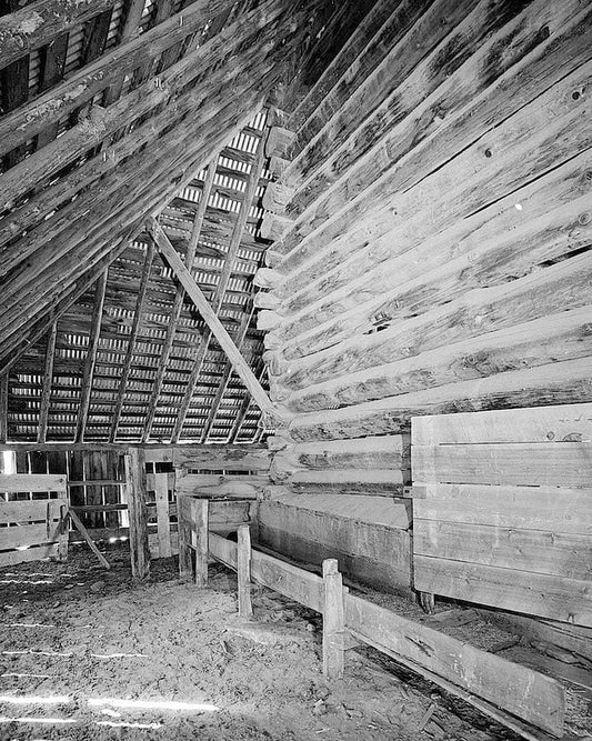 Historic Photo : George Meyer Barn No. 2, Old Coulterville Road, Foresta, Mariposa County, CA 1 Photograph