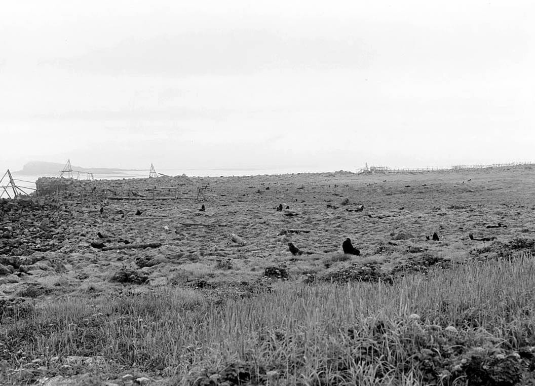Historic Photo : Saint Paul Island, Saint Paul Island, Aleutians West Census Area, AK 1 Photograph