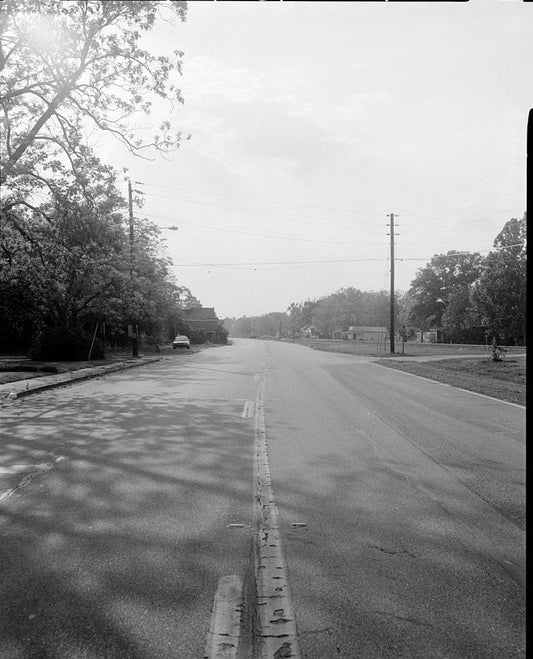 Historic Photo : Town of Odum, U.S. Highway 341, Odum, Wayne County, GA 1 Photograph