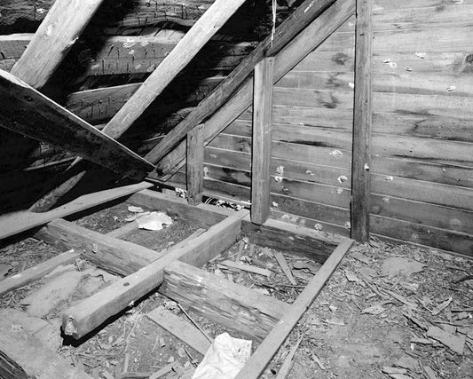 Historic Photo : Grogan House, Northwest Side County Road, Middleton, Elbert County, GA 3 Photograph