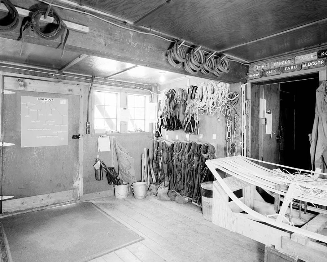 Historic Photo : Mount McKinley Headquarters, Dog Feed Cache & Sled Storage, Cantwell, Denali Borough, AK 7 Photograph