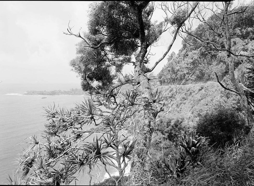 Historic Photo : Hana Belt Road, Between Haiku and Kaipahulu, Hana, Maui County, HI 45 Photograph