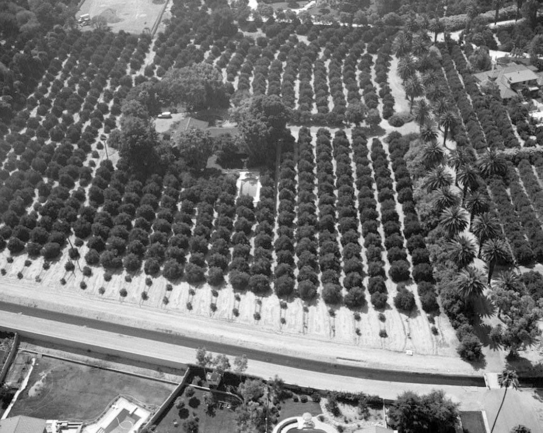 Historic Photo : Arlington Heights Citrus Landscape, Southwestern portion of city of Riverside, Riverside, Riverside County, CA 1 Photograph