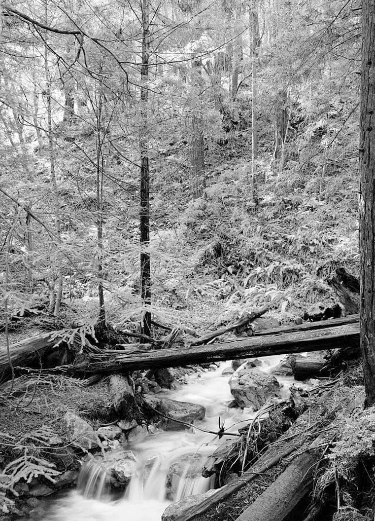 Historic Photo : Four Lime Kilns, 63025 Highway 1, Big Sur, Monterey County, CA 4 Photograph