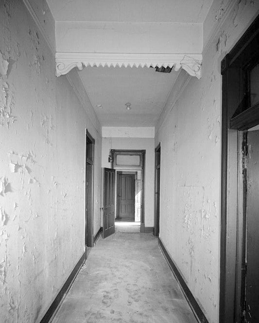 Historic Photo : Springer-Bize-Farley House, 934 Fifth Avenue, Columbus, Muscogee County, GA 3 Photograph