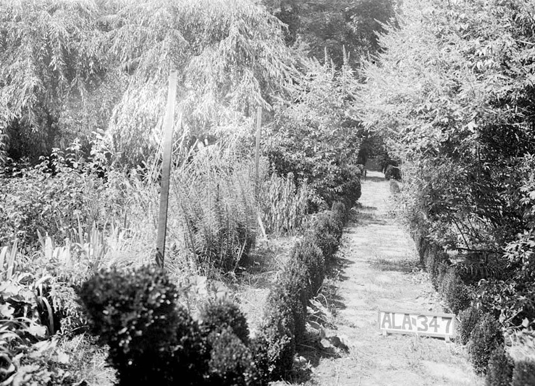 Historic Photo : General Joseph Wheeler House (Later House), State Highway 20, Wheeler, Lawrence County, AL 3 Photograph
