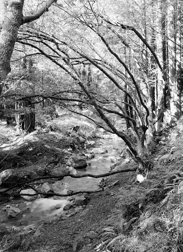 Historic Photo : Four Lime Kilns, 63025 Highway 1, Big Sur, Monterey County, CA 5 Photograph