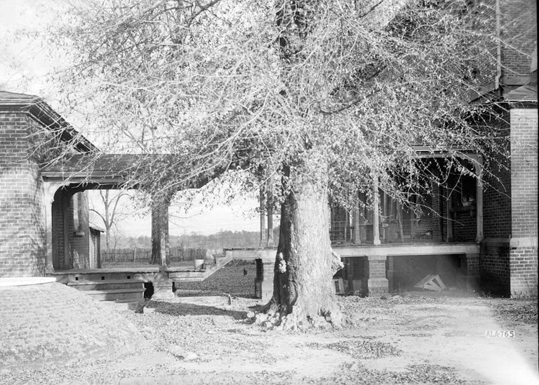 Historic Photo : Kenworthy Hall, State Highway 14 (Greensboro Road), Marion, Perry County, AL 6 Photograph