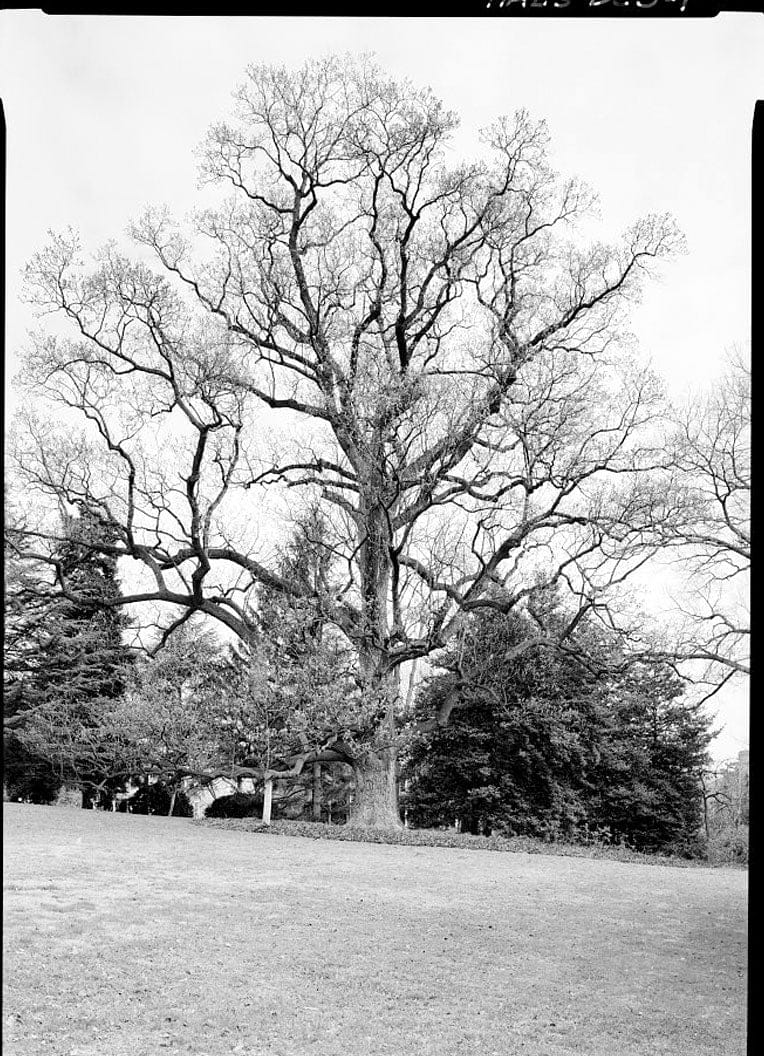 Historic Photo : Church of the Advocate, Northwest corner of Eighteenth & Diamond Streets, Philadelphia, Philadelphia County, PA 2 Photograph