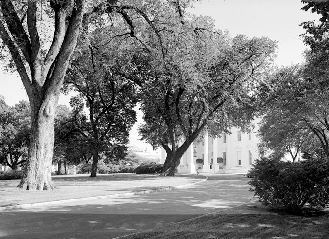 Historic Photo : White House, 1600 Pennsylvania Avenue, Northwest, Washington, District of Columbia, DC 93 Photograph