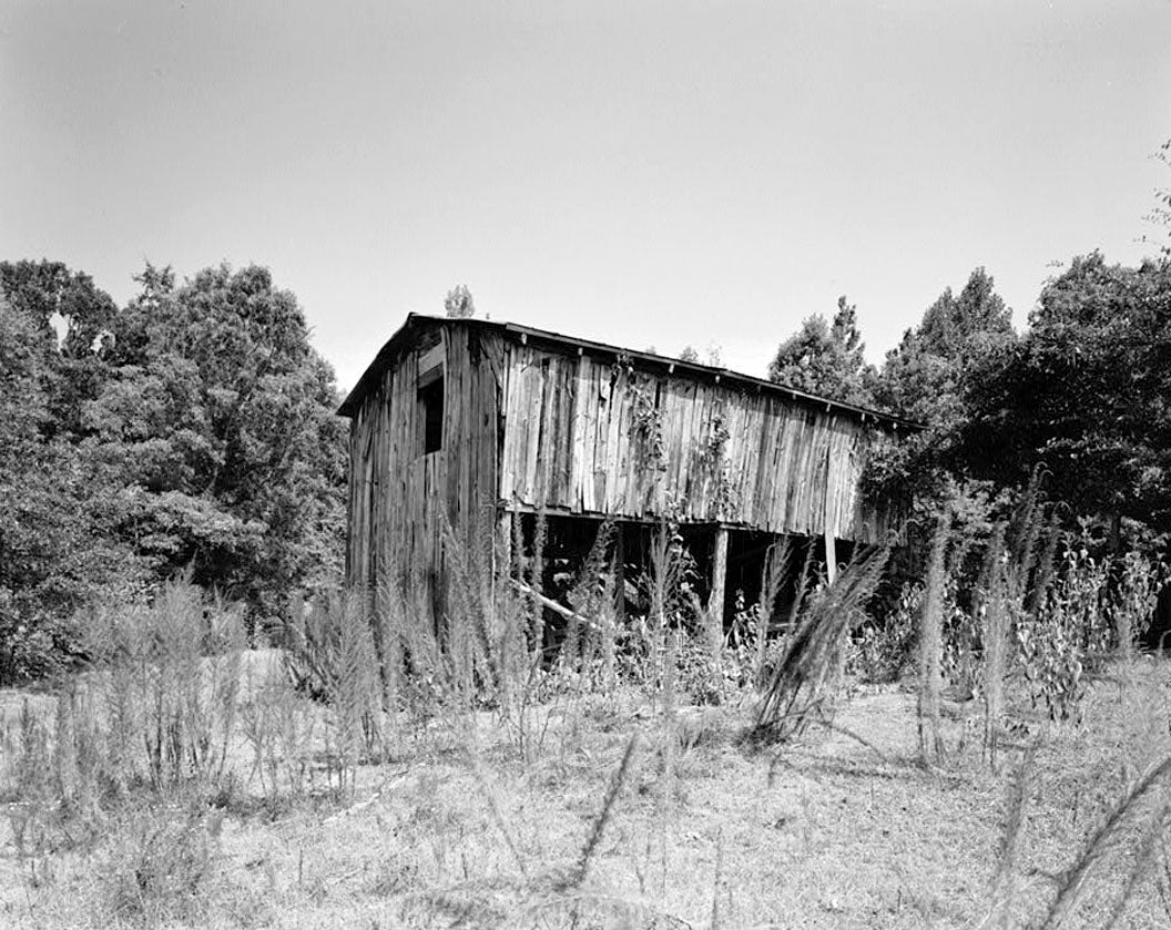 Historic Photo : Reuben J. Anderson Farm, County Road 239 Vicinity, Ruckersville, Elbert County, GA 2 Photograph