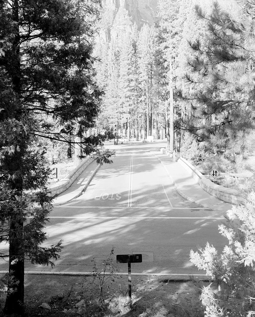 Historic Photo : Sentinel Bridge, Spanning Merced River on Sentinel Bridge Crossover Road, Yosemite Village, Mariposa County, CA 3 Photograph