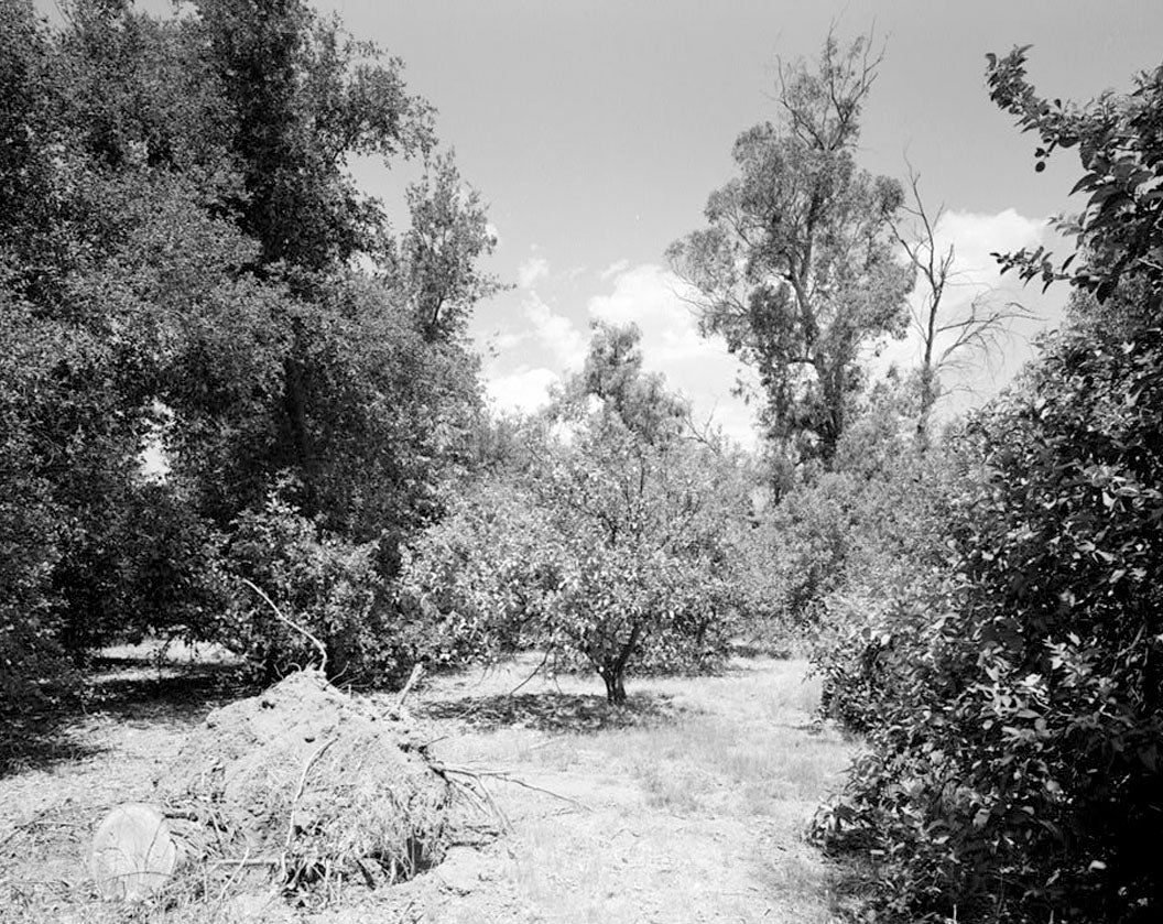 Historic Photo : Goerlitz House, 9893 Highland Avenue, Rancho Cucamonga, San Bernardino County, CA 3 Photograph