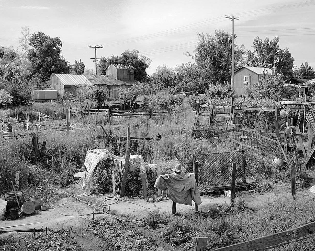 Historic Photo : Town of Locke, Locke, Sacramento County, CA 6 Photograph