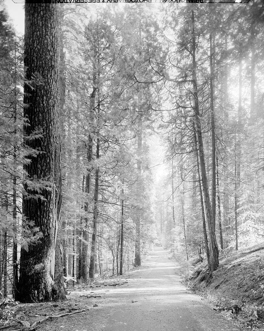 Historic Photo : Big Oak Flat Road, Between Big Oak Flat Entrance & Merced River, Yosemite Village, Mariposa County, CA 10 Photograph
