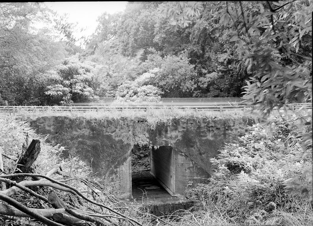 Historic Photo : Hana Belt Road, Between Haiku and Kaipahulu, Hana, Maui County, HI 16 Photograph