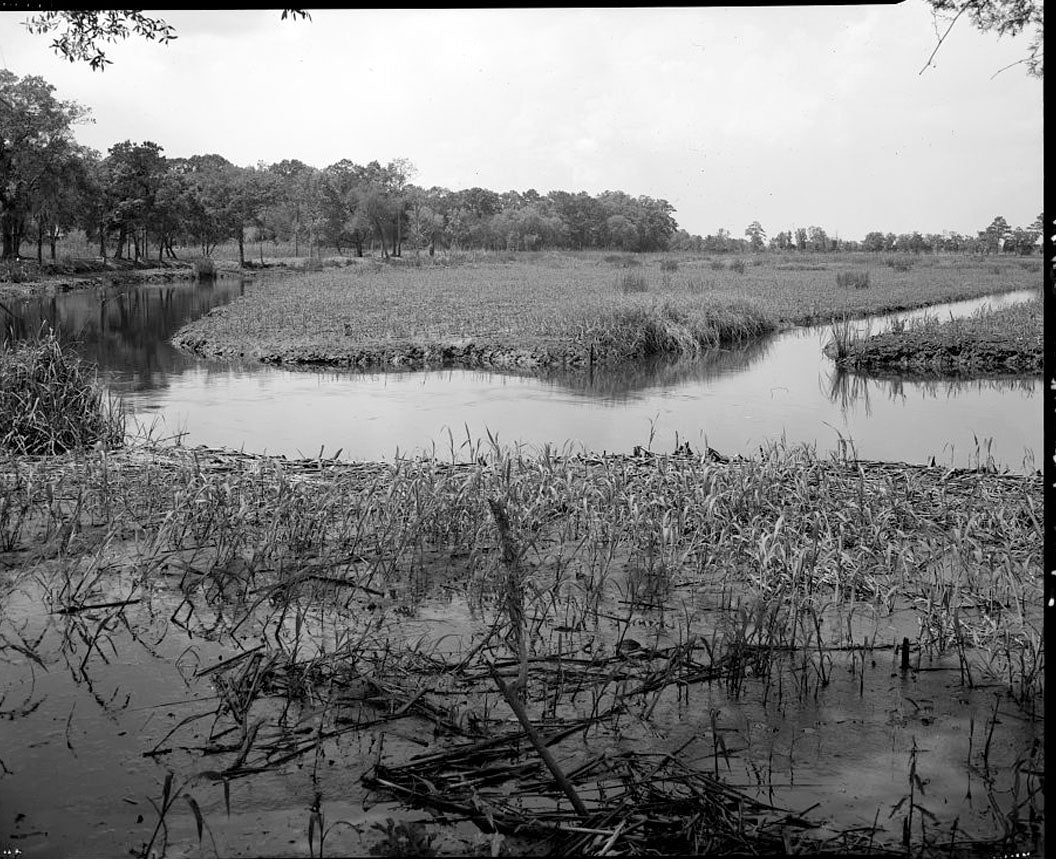 Historic Photo : Richmond Hill Plantation, Sterling Creek Marsh, East of Richmond Hill on Ford Neck Road, Richmond Hill, Bryan County, GA 14 Photograph