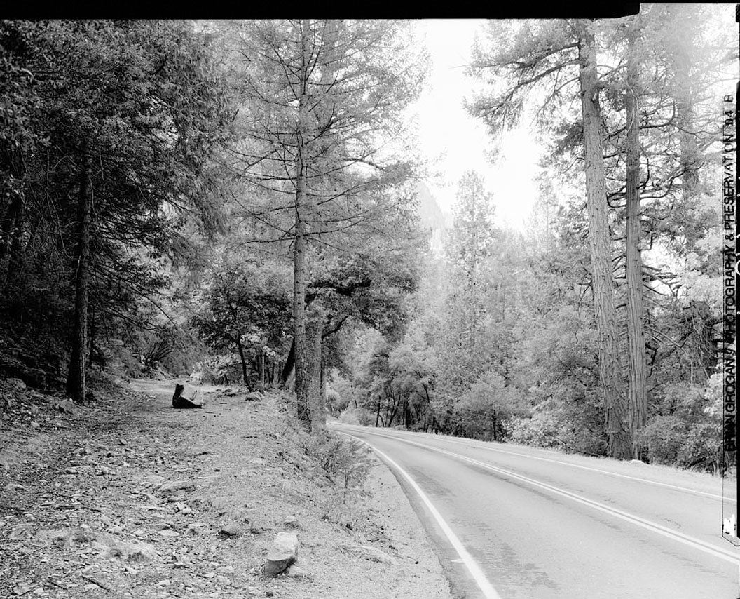 Historic Photo : Wawona Road, Between South Entrance & Yosemite Valley, Yosemite Village, Mariposa County, CA 7 Photograph