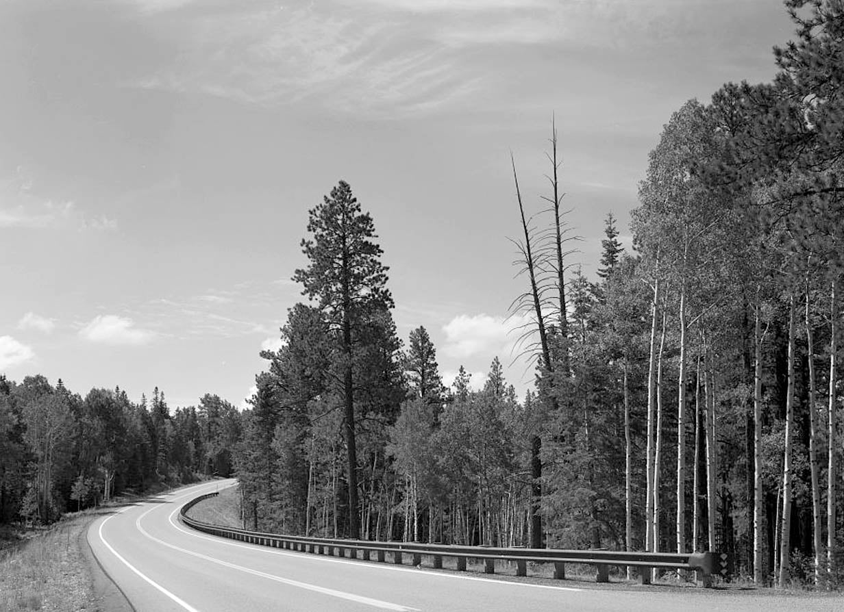 Historic Photo : North Entrance Road, Between Little Park & Bright Angel Point, Grand Canyon, Coconino County, AZ 3 Photograph