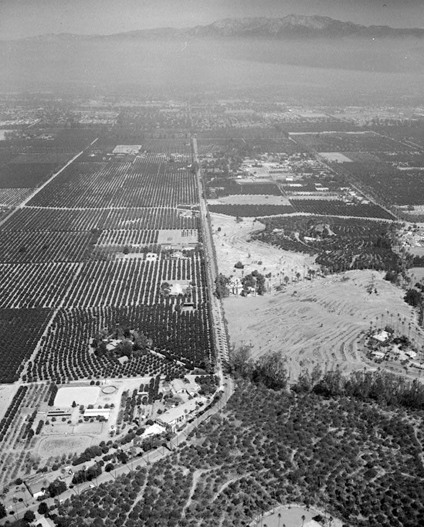 Historic Photo : Arlington Heights Citrus Landscape, Southwestern portion of city of Riverside, Riverside, Riverside County, CA 3 Photograph