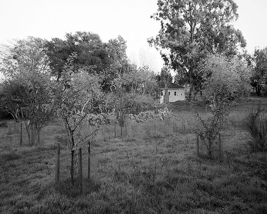 Historic Photo : Gold Ridge Farm, 7777 Bodega Avenue, Sebastopol, Sonoma County, CA 4 Photograph