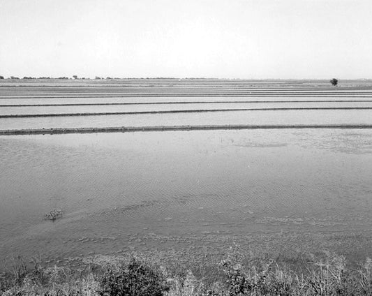Reclamation District 1000, Northwest Sacramento County & southwest Sutter County, bisected by State Highway No. 99, Sacramento, Sacramento County, CA 4