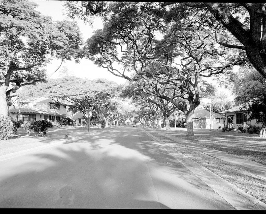Historic Photo : Regency Suspension Bridge, Spanning Colorado River at County Route 126, Goldthwaite, Mills County, TX 1 Photograph