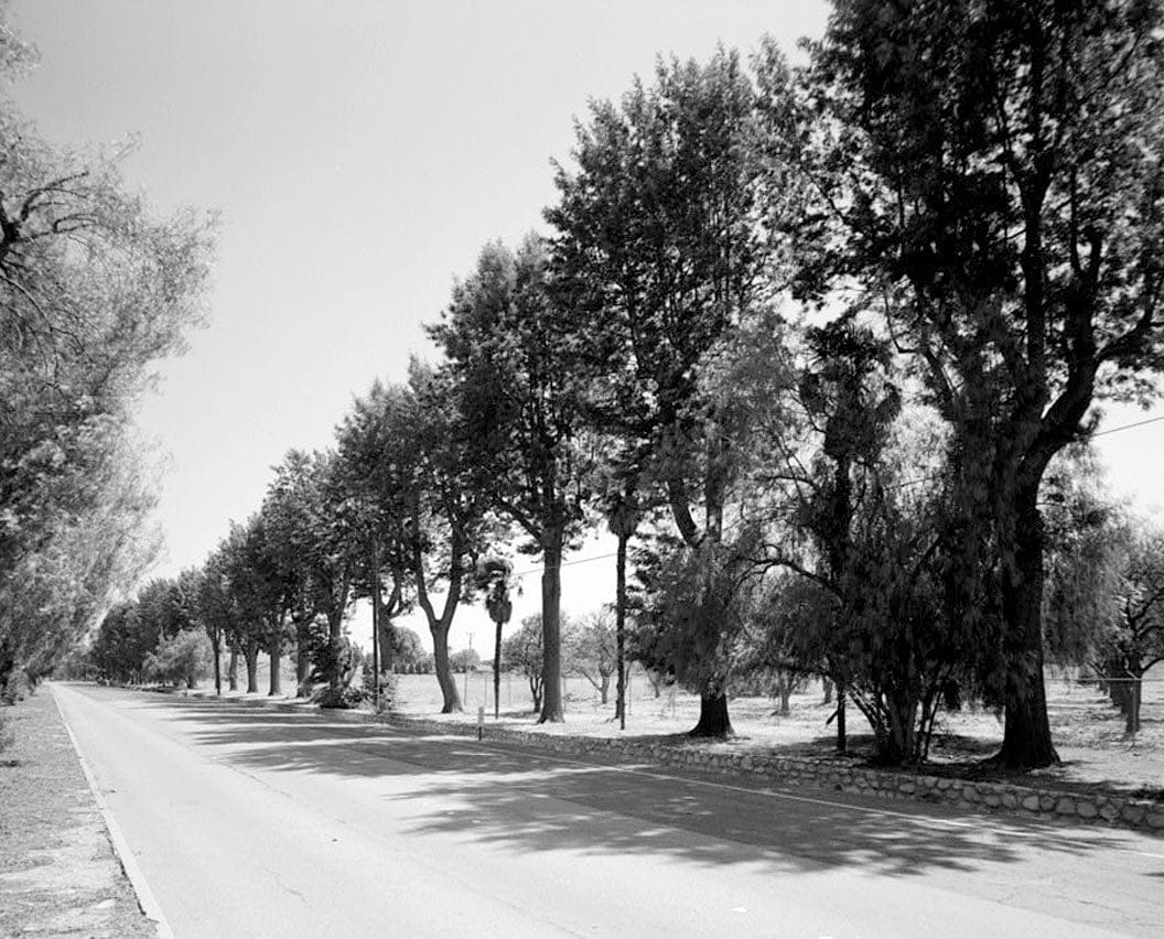 Historic Photo : Euclid Avenue, Upland, San Bernardino County, CA 3 Photograph