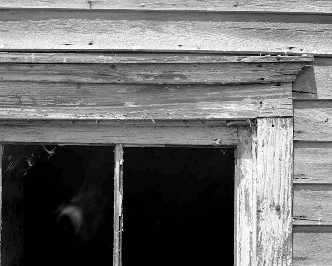 Historic Photo : William H. Ward House, North side of Road 244, .25 mile east of Road 246, Georgetown, Sussex County, DE 13 Photograph