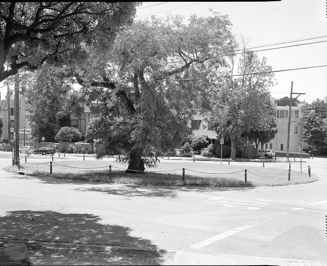 Historic Photo : Piedmont Way & the Berkeley Property Tract, East of College Avenue between Dwight Way & U.C. Memorial Stadium, Berkeley, Alameda County, CA 6 Photograph