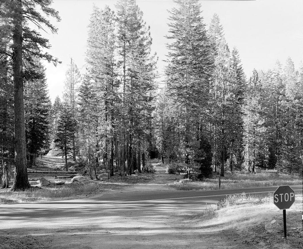 Historic Photo : Big Oak Flat Road, Between Big Oak Flat Entrance & Merced River, Yosemite Village, Mariposa County, CA 4 Photograph