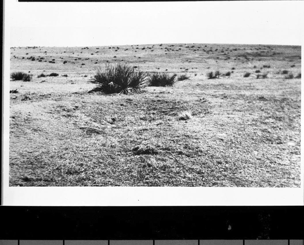 Historic Photo : Box Elder Road, Between 104th & 112th Avenues, Hudson & Watkins Roads, Watkins, Adams County, CO 1 Photograph