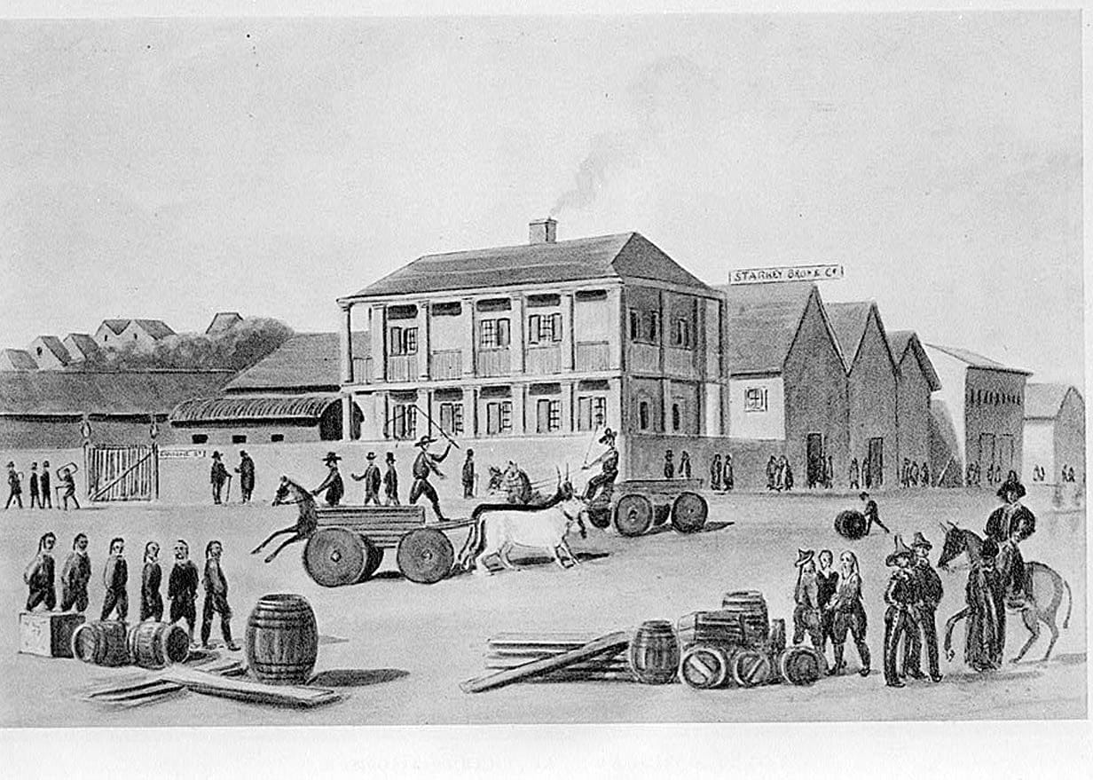 Historic Photo : Sansome Street, Historic View, 1850, San Francisco, San Francisco County, CA 1 Photograph