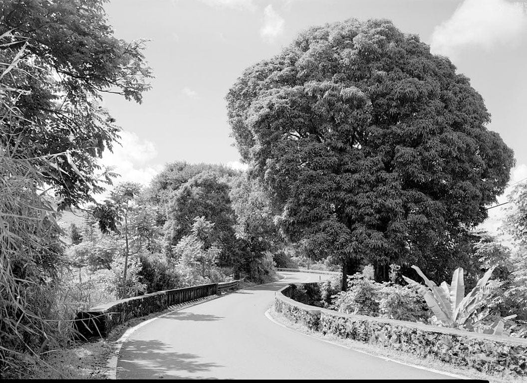 Historic Photo : Hana Belt Road, Between Haiku and Kaipahulu, Hana, Maui County, HI 39 Photograph